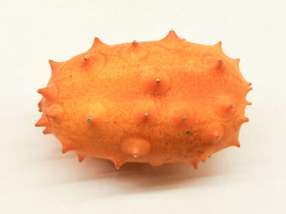 Kiwano