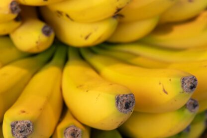 Banane Cavendish
