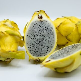 Drachenfrucht Pitahaya gelb