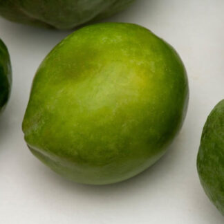 Zapote blanco
