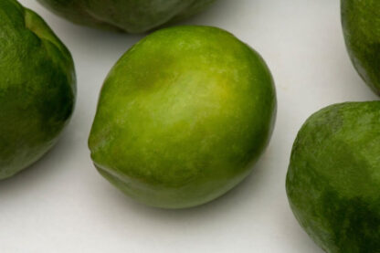 Zapote blanco