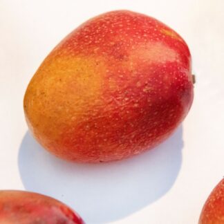 Mango Irwin