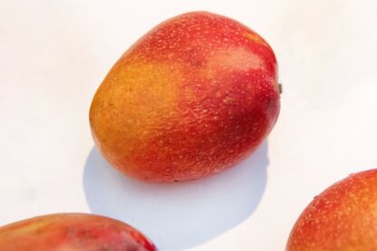 Mango Irwin