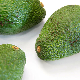 Avocado Hass