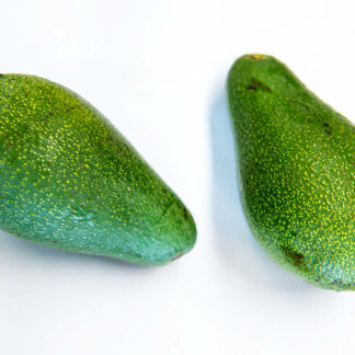 Avocado Fuerte