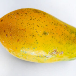 Papaya