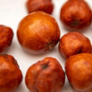 Jujube
