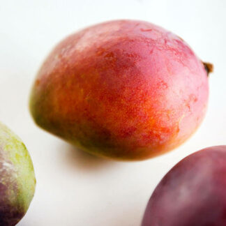 Mango-Sensation