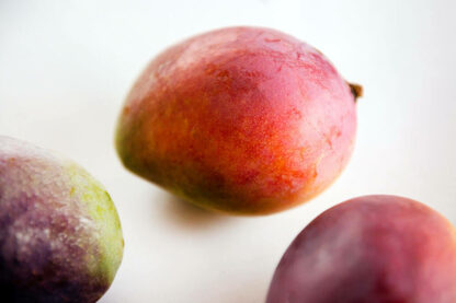 Mango-Sensation