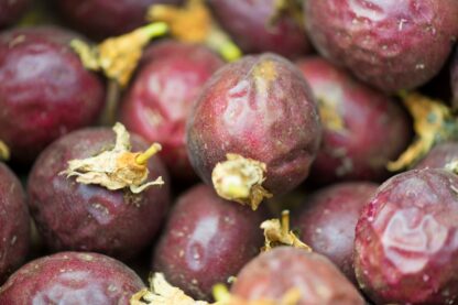 Passionsfrucht