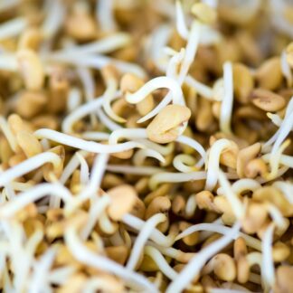 Bockshornklee Samen [250g]