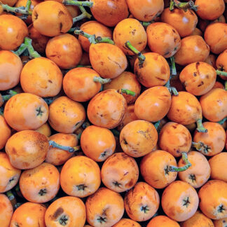 Mispel japanische orange