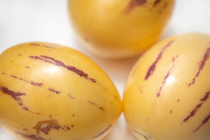 Melone Pepino – Bild 2