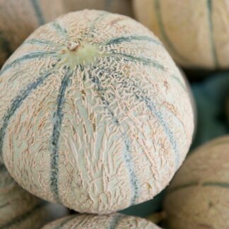 Melone Cantaloupe