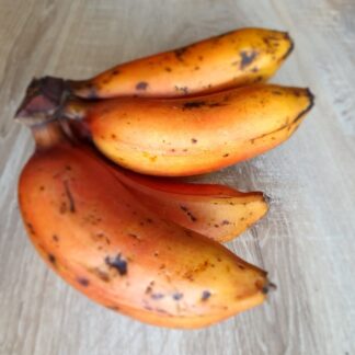Banane rot