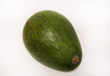 Avocado Californiano