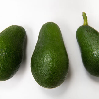 Avocado Torrox