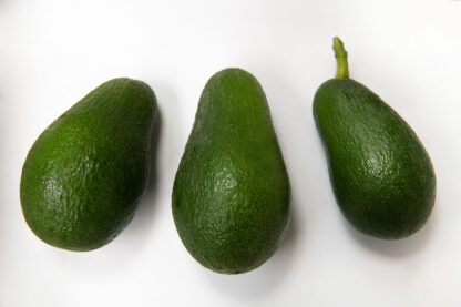 Avocado Torrox