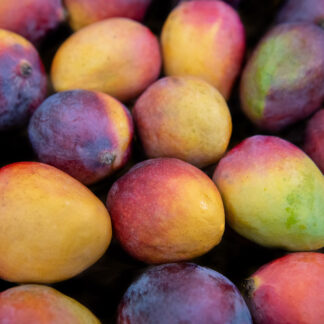 Mangos