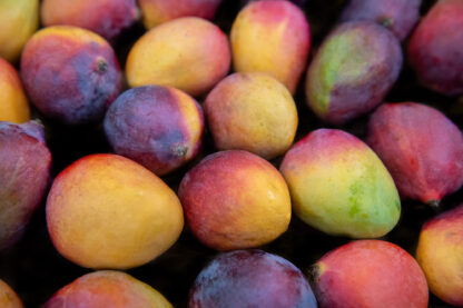 Mangos