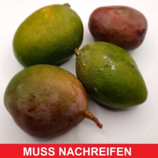 Mango Keitt nachreifen