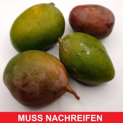 Mango Keitt nachreifen