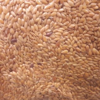 Leinsamen gold