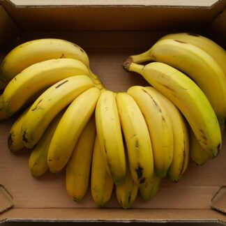 Bananen Cavendish