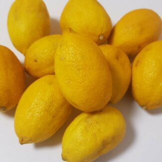 limquat