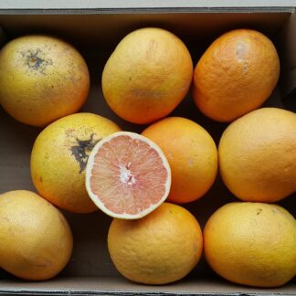 Grapefruits