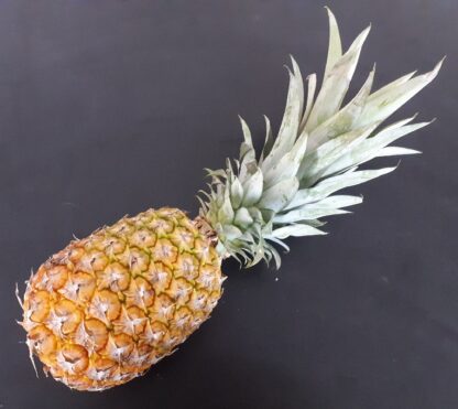 Ananas