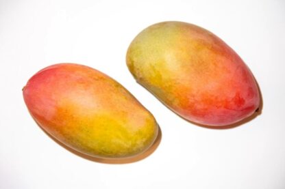 Mango Osteen EXTRA