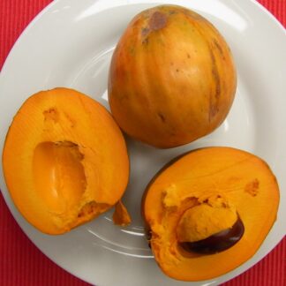 Zapote amarillo