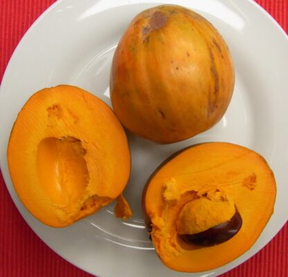 Zapote amarillo