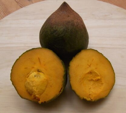 Zapote Lucuma