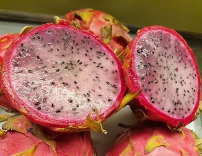 Pitahaya weiß