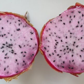 Pitahaya weiß