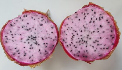 Pitahaya weiß