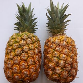 Ananas Box