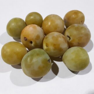 Pflaume Reine-Claude