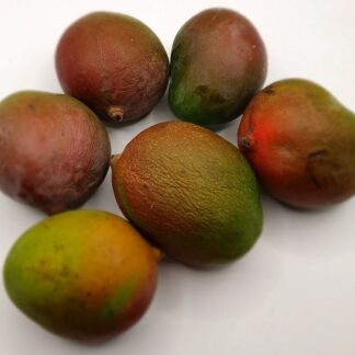 Mango Keitt