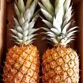 Ananas Box