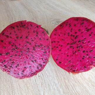 Pitahaya rot