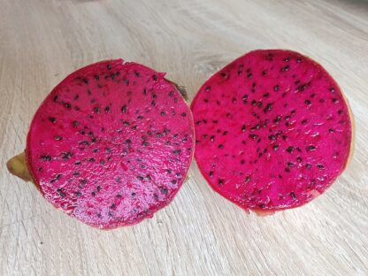 Pitahaya rot