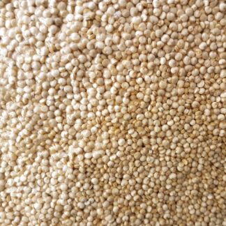 Quinoa