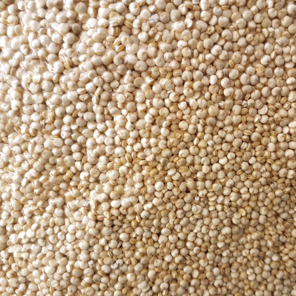 Quinoa