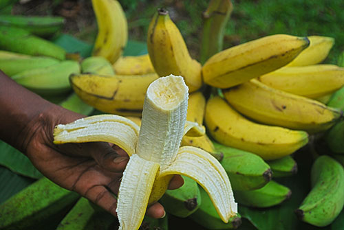 Banane Puwalu