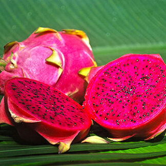 Drachenfrucht rot SriLanka