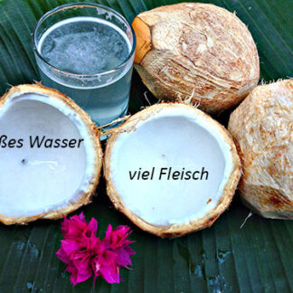 Kokosnuss Kalati
