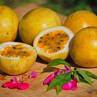Maracuja-Passionsfrucht SriLanka